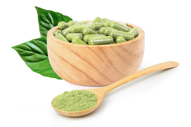 Guide to the Top Kratom Vendors for Quality Choices